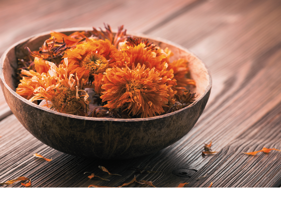 Embrace the Magic of Calendula During Summer Solstice
