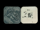 Banish Sea Salt Soap Black with seal salt on top shown with purify sea salt soap