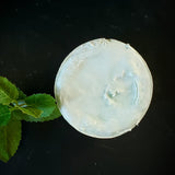 Luffa Lux Soap Bar. Blue soap with luffa slice inside.