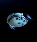 Dark magick brew solid lotion bar with coffee beans inside sitting inside a black tin